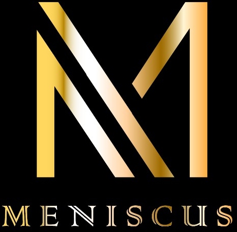 MENISCUS LLC